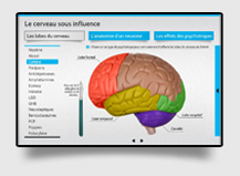 Le Cerveau sous influence